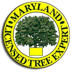 Maryland Licensed Tree Expert #768